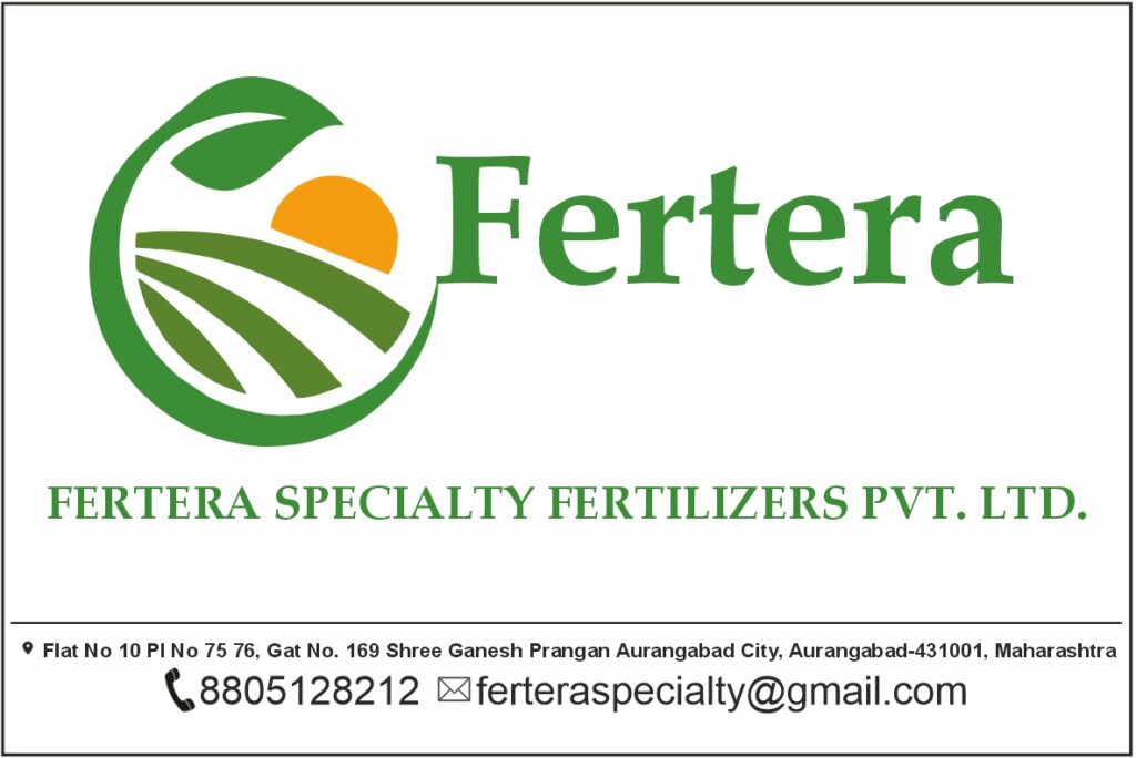 whatsapp image 2026 01 21 at 7.24.39 pm